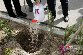 ظیبا