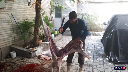۳۰۰ بسته گوشت گرم در بین نیازمندان همدانی به مناسبت عید فطر توزیع شد