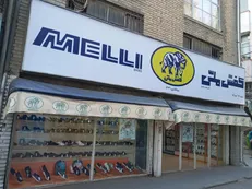 ورود دیوان محاسبات به واگذاری غیرقانونی ملک شرکت کفش ملی