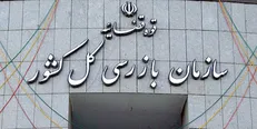 واریز یارانه معیشتی بیش از ۹۲ هزار خانوار با پیگیری سازمان بازرسی