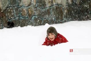 برف