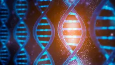 فرآیند استخراج DNA با استفاده از لوله شیشه‌ای تسهیل می‌شود