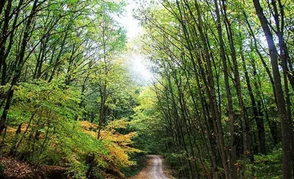 افزایش محسوس دما در شمال کشور