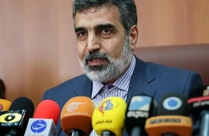 سخنگوی سازمان انرژی اتمی از تورقوزآباد و موساد گفت