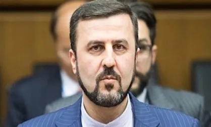 غریب آبادی: عربستان باید در خصوص اعدام&zwnj;های اخیر پاسخگو باشد