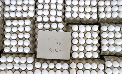 کشف ۵۷۷ کارتن تخم مرغ تاریخ&zwnj;گذشته در شهر ری
