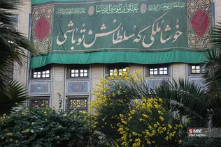 دبب