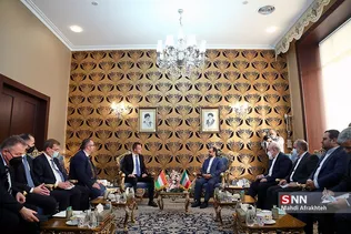 بیدذب
