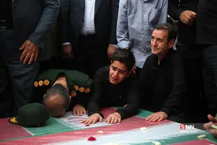 دبب