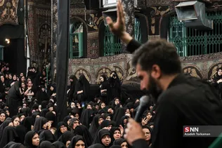 دبب