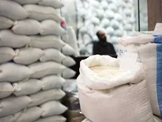 سقوط قیمت برنج ایرانی در راه است؟