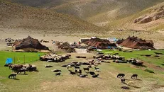 ۵ اقدام زیرساختی برای کاهش تنش آبی و تقویت تولید عشایر سمنان