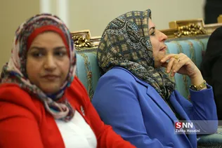 دیدار نائب‌‌ رئیس مجلس عراق با علی لاریجانی