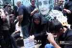 دبب