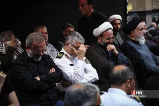 دبب