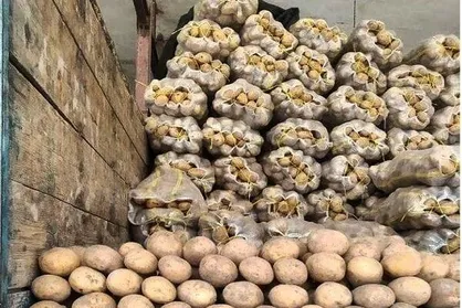 کشف احتکار ۲۷۰ تن سیب&zwnj;زمینی در بروجرد
