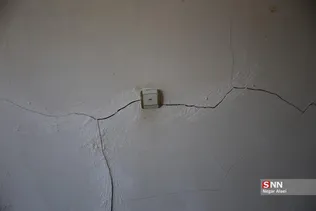دبب