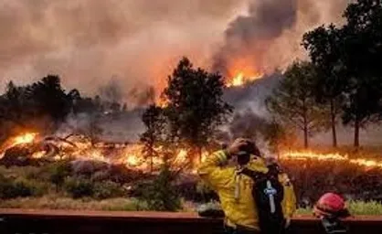 مرگ ۵۳ نفر در آتش&zwnj;سوزی&zwnj;های جنگلی در آمریکا