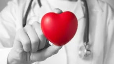 نقش میکروبیوم در سلامت بدن / آنچه در مورد میکروبیوم‌ها باید بدانید