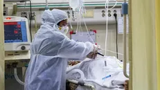 زنگ خطر موج ششم با بازگشایی‌ها