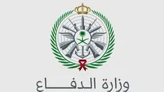 اعدام ۳ نظامی عربستان به اتهام خیانت