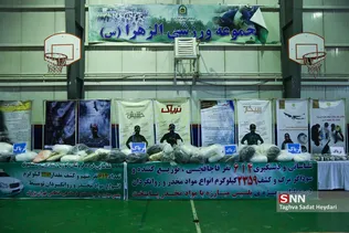 جدید