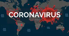 همکاری جهانی برای توزیع ۱۲۰ میلیون تست فوری و ارزان کرونا