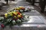 آیین مهمانی لاله‌ها در بهشت زهرا(س)