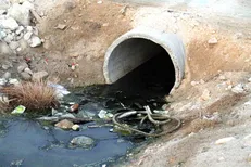 کانون پتنت ایران به دنبال بهبود وضعیت تجاری‌سازی در کشور است/ از توسعه تکنولوژی حمایت می‌کنیم