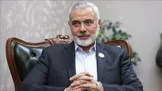 تقدیر هنیه از اقدام ضد صهیونیستی قهرمان جودوی الجزایر