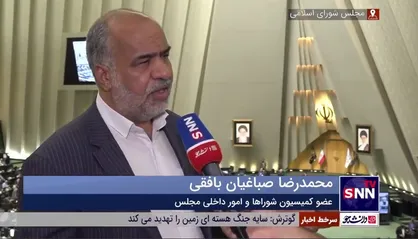 صباغیان: نظارت باید بر گردن کلفت&zwnj;ها و سلاطین باشد