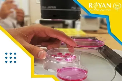 دوره آموزشی مهارتی مقدماتی در آزمایشگاه تحقیقاتی زیست&zwnj;شناسی