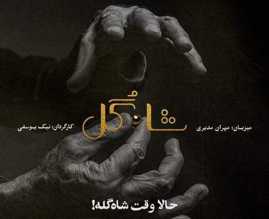 چرخه پوچِ نظارتی در نمایش خانگی؛ روی نام نیک یوسفی در «شاه‌گل» ایستاد!