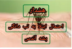 هشداردانشگاه علوم پزشکی یاسوج در خصوص بروز بیماری تب دانگی