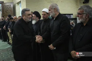 دبب