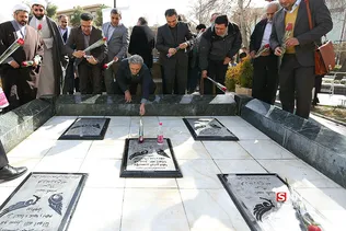 دانشگاه