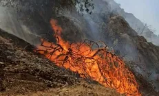 آتش سوزی گسترده در منطقه حفاظت شده خائیز کهگیلویه