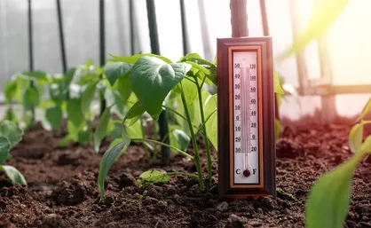 کاهش دما در برخی مناطق / احتمال سرمازدگی محصولات در مناطق سردسیر