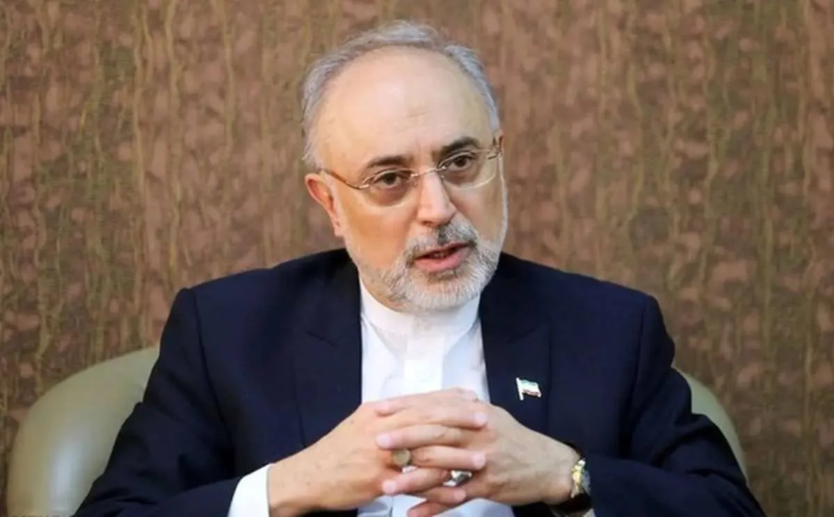 صالحی: امام حسین (ع) تا آخرین لحظه راه گفتگو را نبست/ مقاومت هرگز به معنای نفی گفتگو نیست بلکه گفتگو تا آخرین لحظه ادامه دارد + فیلم