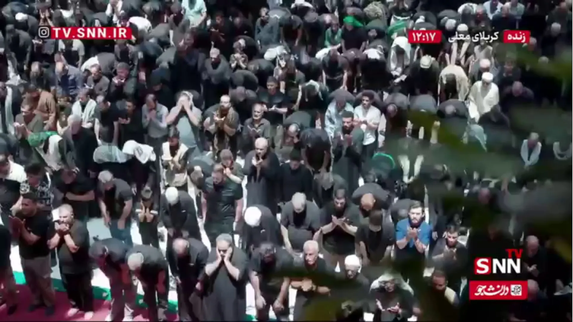 اقامه نماز ظهر در حرم حضرت ابالفضل (ع) در روز اربعین حسینی