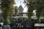 همایش شیرخوارگان حسینی در شیراز
