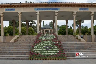 سیب