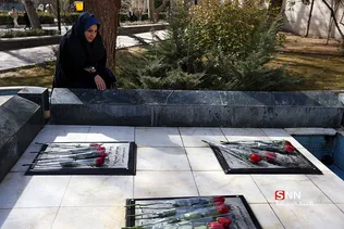 دانشگاه