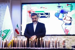 زیتون سبز
