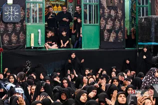 دبب