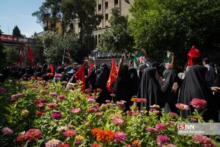 اربعین حسینی 1403 در شیراز