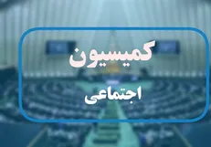 بررسی لایحه تعطیلی پنج‌شنبه‌ها و ساماندهی استخدام کارکنان دولت در مجلس