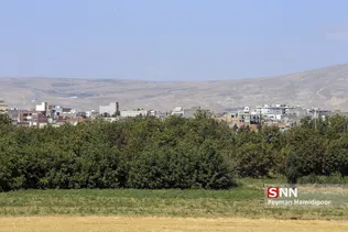 تخریب باغات