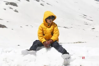 دبب