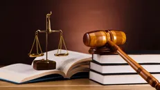 محکومیت ۱۷۹ میلیاردی قاچاقچی کالا در بوشهر